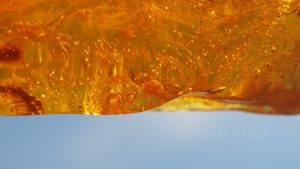bubbles in amber