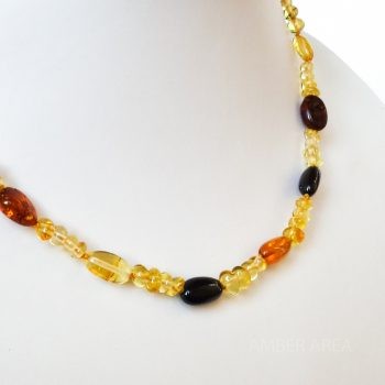 Small Beads Multi-Color Polished Amber Necklace