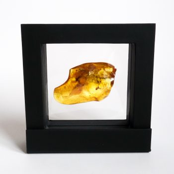 Large Amber Stone With Inclusions