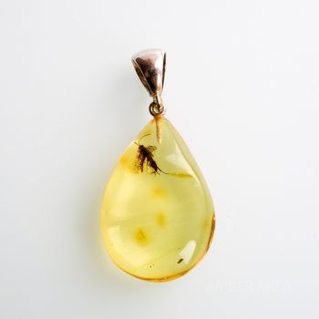 Amber Pendant With Inclusion Hymenoptera Parasitica