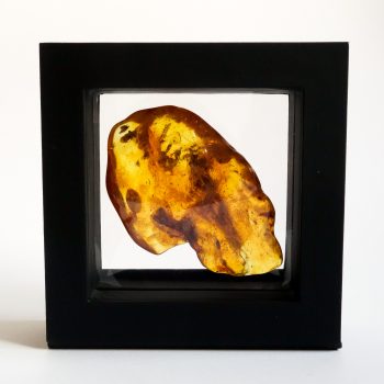 Large Amber Stone With Inclusions