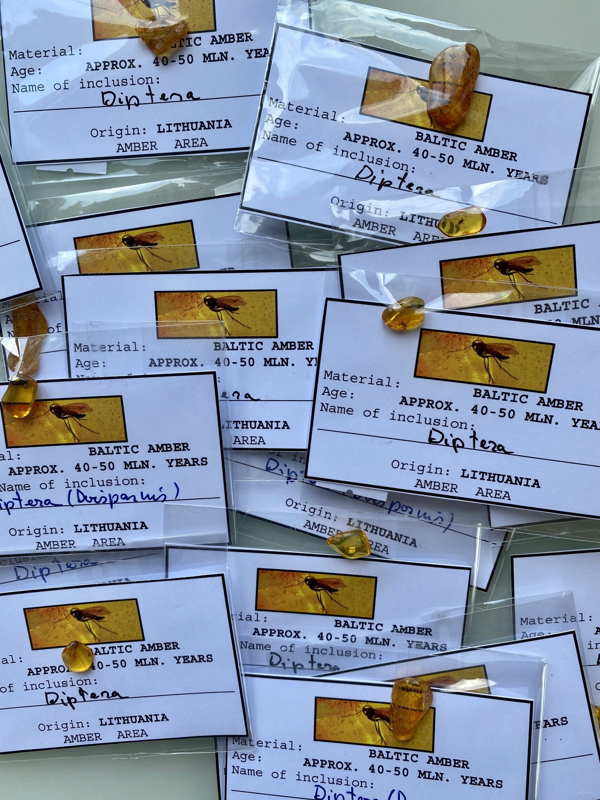 Small Baltic amber inclusions wholesale