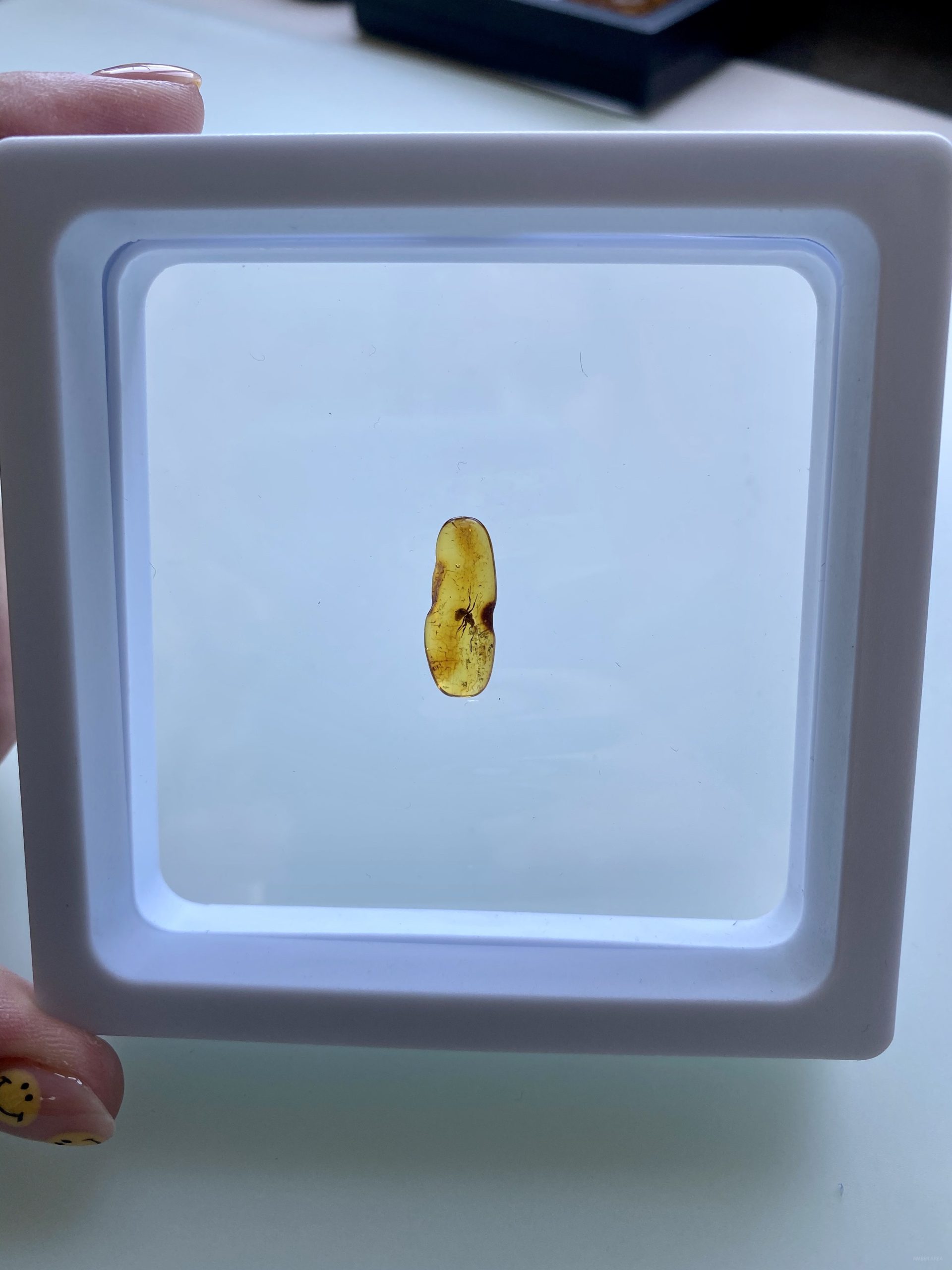 Small Baltic amber inclusions wholesale