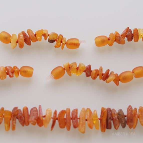 Baltic amber necklace for animals wholesale