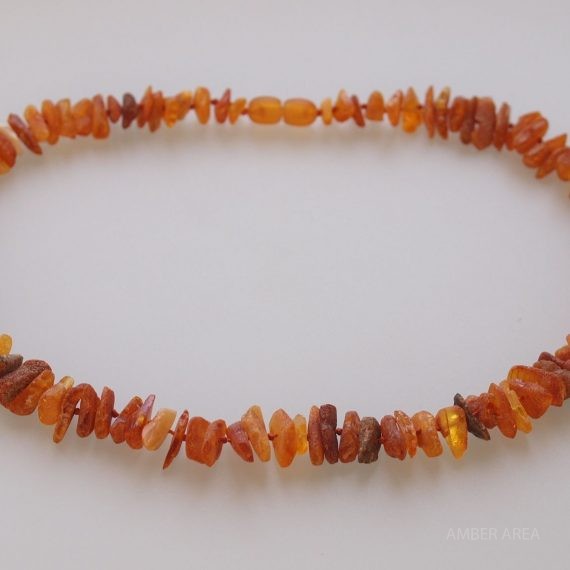 Baltic Amber Pet Necklace